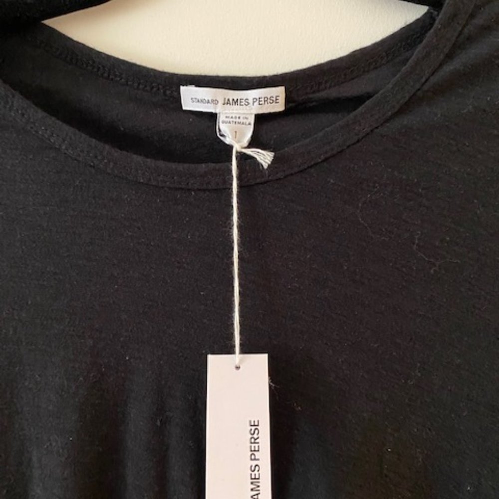 James Perse Sheer Slub Long Sleeve Crew Neck Tee shirt- size 1